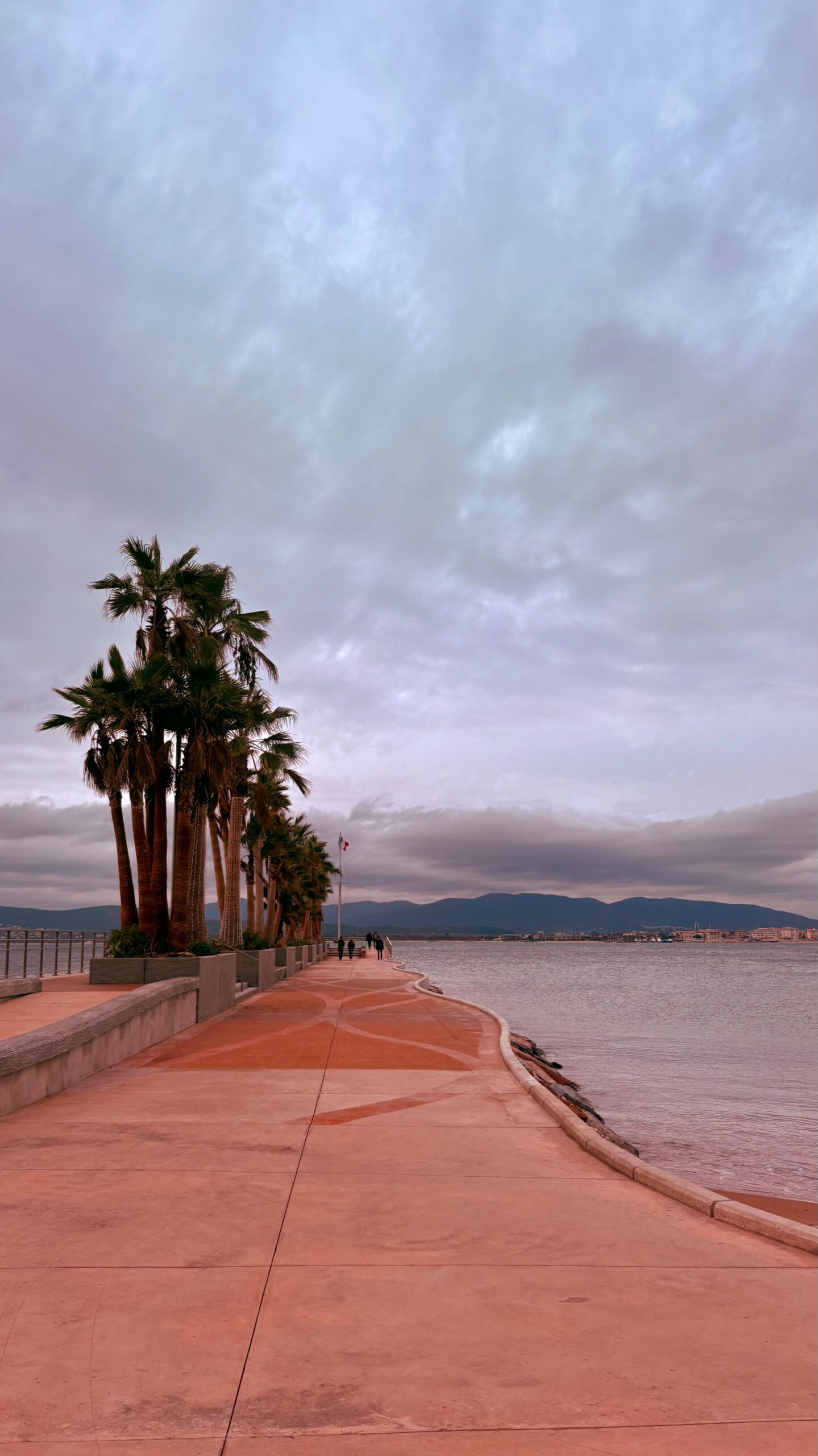 Chemin au bord de la mer avec des palmiers.
